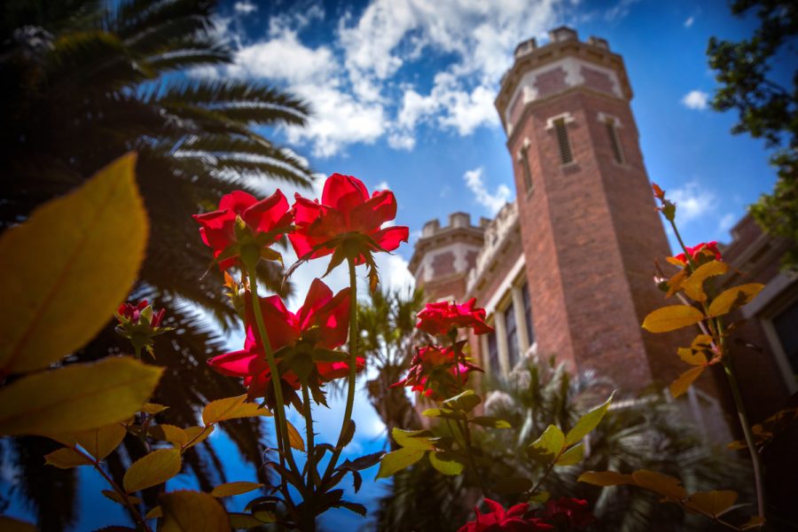 Westcott plaza, 2020 (FSU Photography Services/Bruce Palmer)