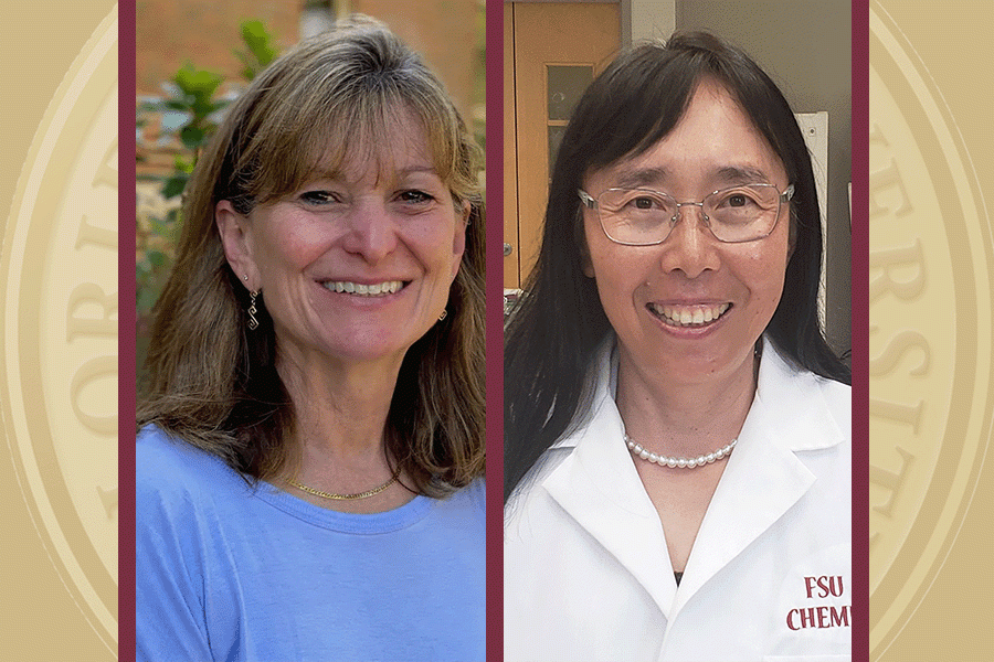 From left, Lynn Panton, professor in the College of Health and Human Sciences, and Qing Xiang “Amy” Sang, professor in the Department of Chemistry and Biochemistry. (Florida State University)