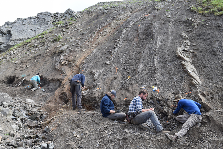 The research group collecting samples. (Photo by Ben Gill)