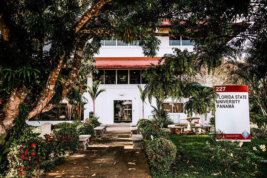 Campus administrators and faculty members at the FSU-Panama campus, where Wong and Millender are visiting courtesy faculty members, have been instrumental in helping the researchers begin their endeavors in Panama.