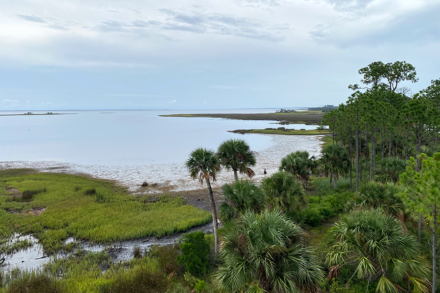 Living shorelines installed at Rivercamps in St. Andrew Bay by St. Andrew Bay Watch (Darryl Boudreau)