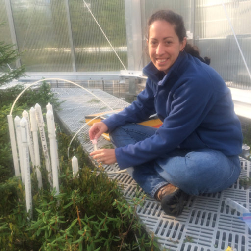 Rachel Wilson, a research scientist in the FSU Department of Earth, Ocean and Atmospheric Science and the principal investigator for the FSU research team, working at the SPRUCE site. (Courtesy of Rachel Wilson)