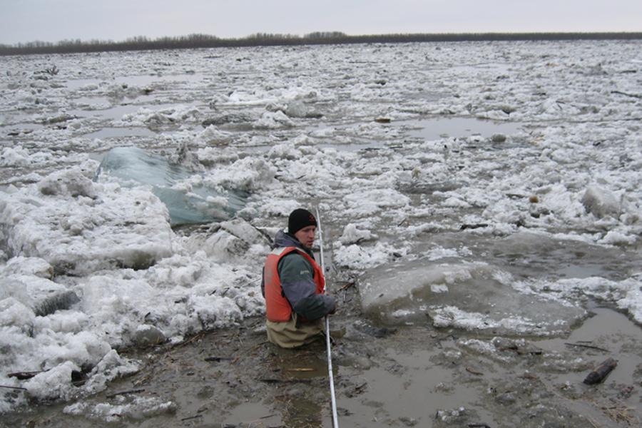 Florida State University Professor Robert Spencer sampling the Yukon River at the Yupik village of Pilot Station, Alaska during the peak of spring thaw. (Courtesy of Robert Spencer)