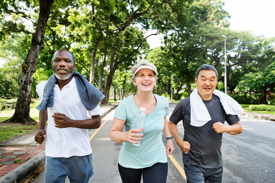 A new, $1.8 million Florida State University study funded by the National Institutes of Health will examine the role adiponectin plays in the circulatory system of aging adults and how exercise affects its influence on vascular health. The research aims to offer more insight into how exercise brings benefits and explore how adiponectin can potentially be used for treatment.