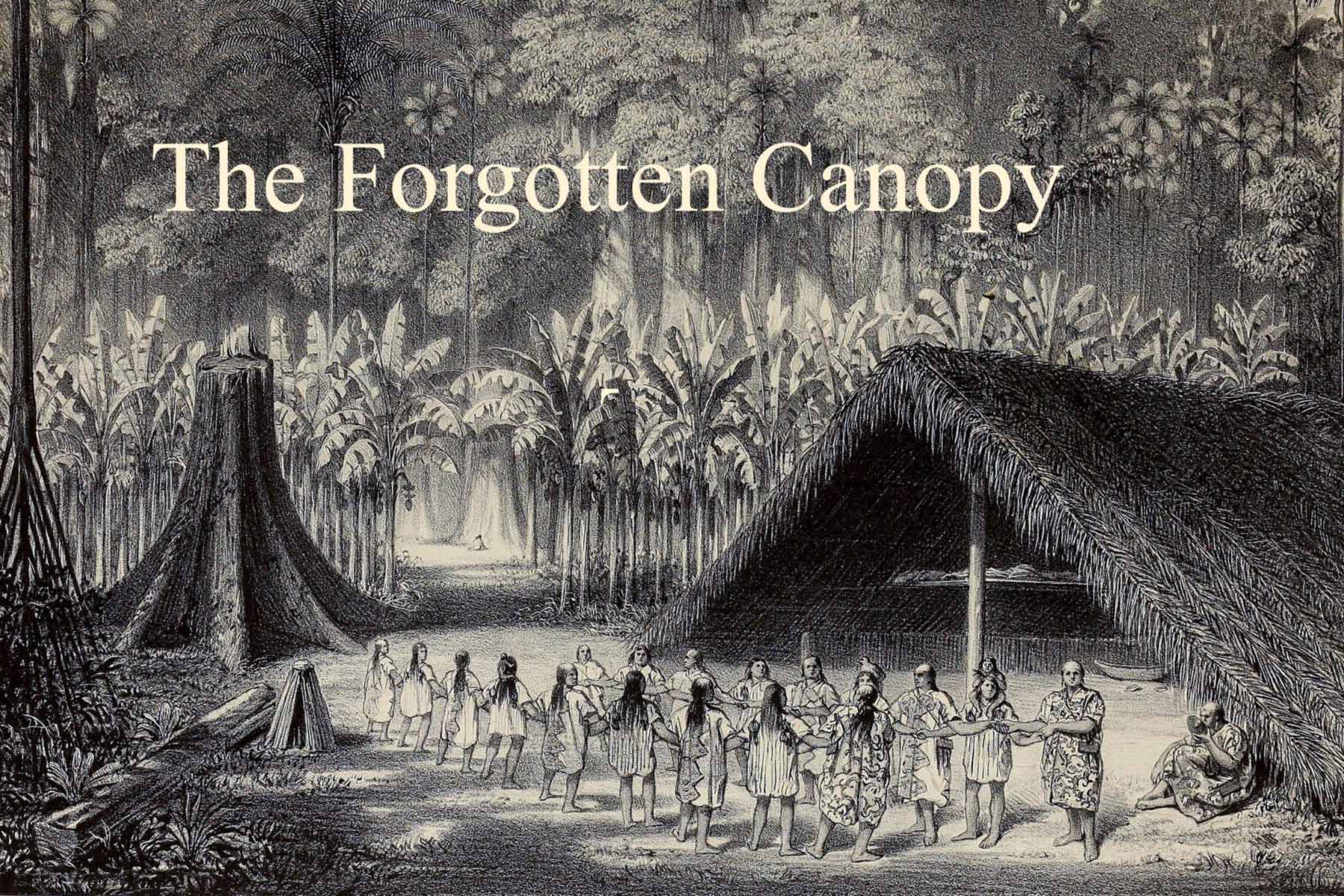 “View of a hut, and a dance of the Yuracares Indians, Bolivia.” From Alcide Dessalines d’Orbigny, Voyage dans l’Amérique Méridionale, vol. 3, Paris, 1835–1847.