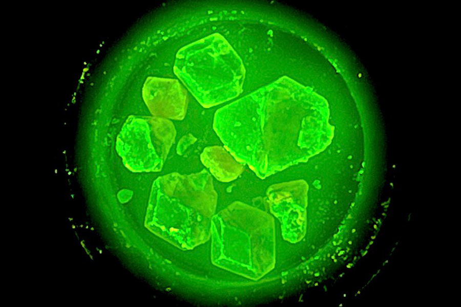 A zero-dimensional organic metal halide hybrid scintillator shining under radiation. (Courtesy of Biwu Ma)