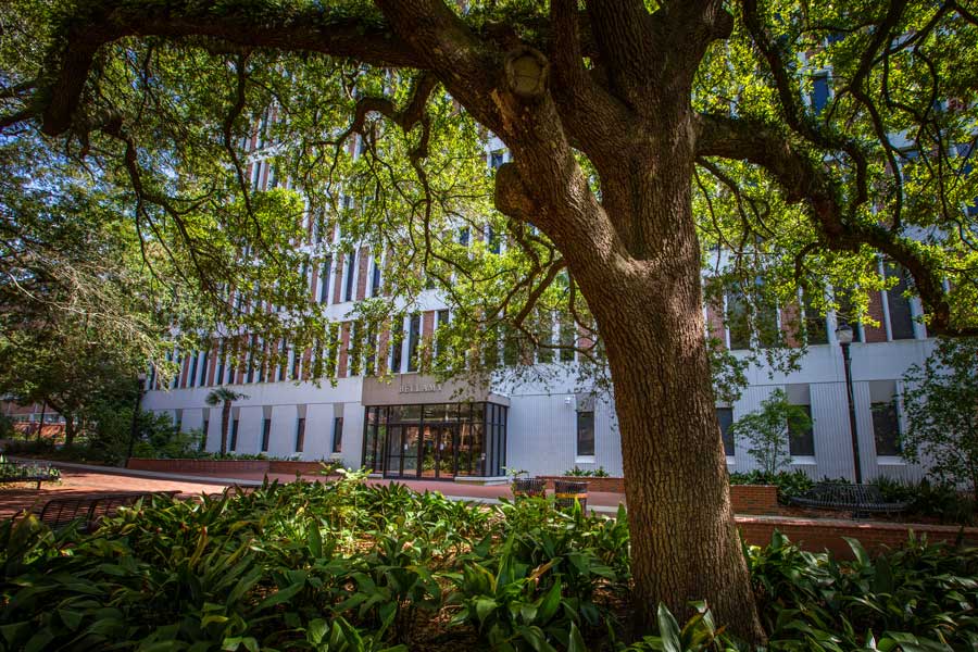 The Master of Science in Planning program, located in the Bellamy Building, rose from No. 22 last year to No. 18 among public and private universities nationwide. It is the top-ranked program in Florida.