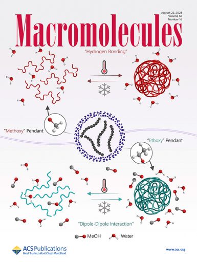 Chung and Saha’s article was featured on the cover of the Macromolecules in the journal’s Aug. 23, 2023 edition. (Image courtesy of Macromolecules)