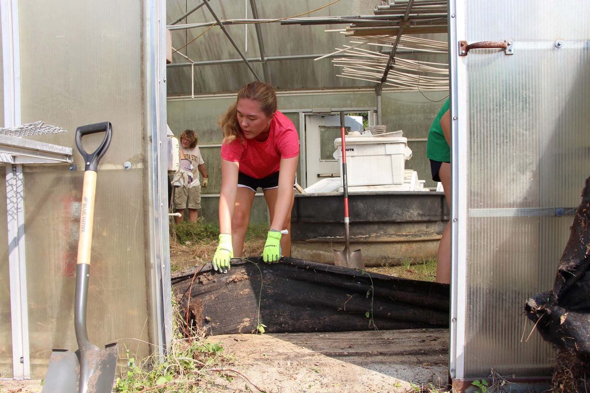 This year, 30 students volunteered in the Tallahassee community through FSU's Service Leadership Seminar. (Photo: Paige Rentz)