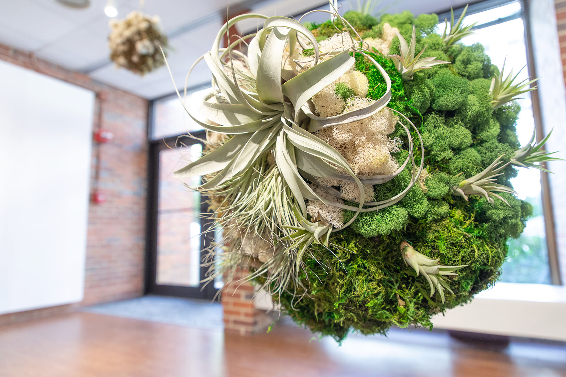 "Talamh agus Teanga: Land and Language in Contemporary Irish Art." Installation view of Méadhbh O’Connor’s work, Florida State University Museum of Fine Arts, 2024. Courtesy of the artist. (Kelly Hendrickson)