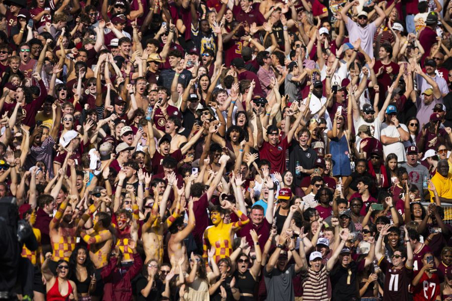 People in a crowd cheer