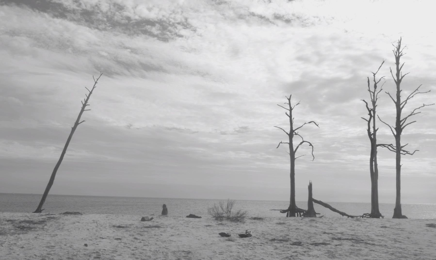 "'The Forgotten Coast' stands in for purgatory and the underworld, and we wanted to photograph it in a way that evoked the right feeling," Losson said. (Max Losson)