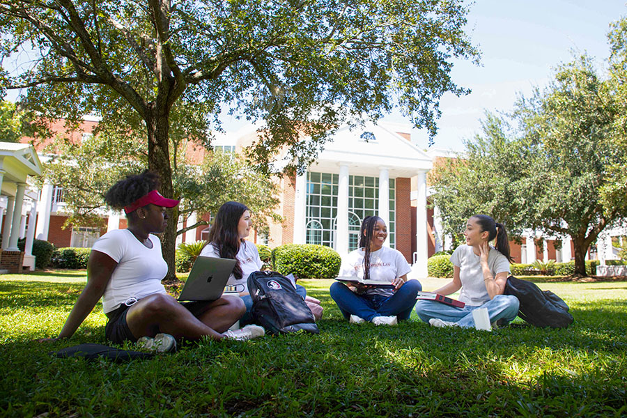 Four students sitting on grass, smiling and mingling